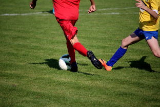 拳击锦标赛迎来压轴之战万众瞩目,拳击锦标赛叫什么